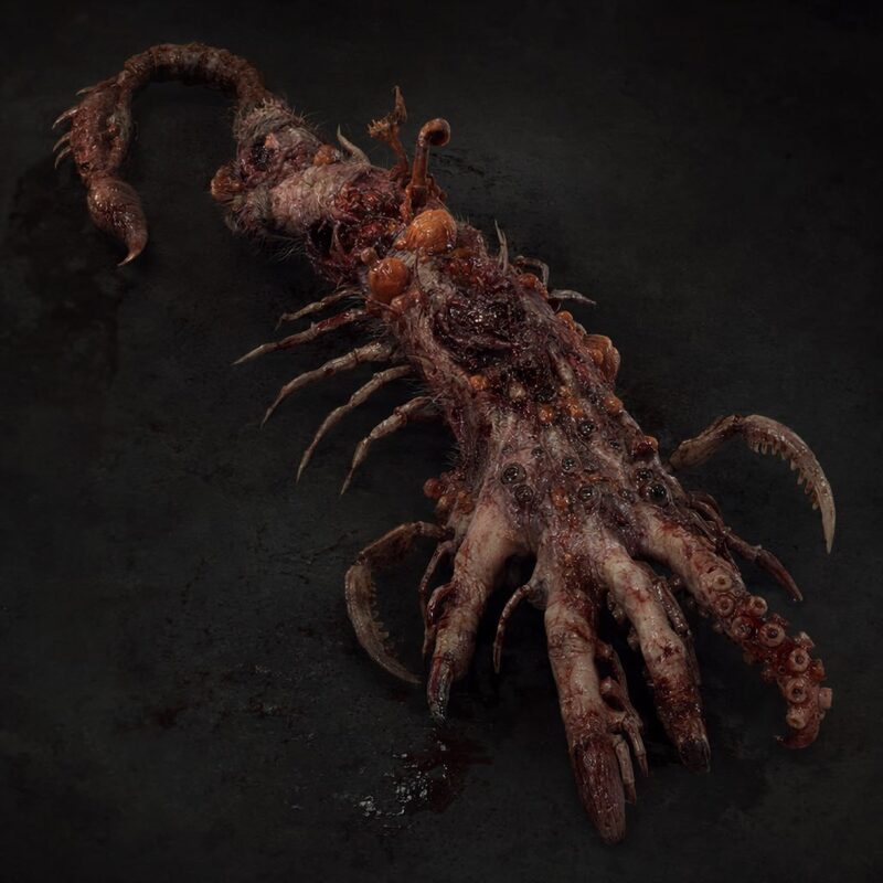 Scorpion-centipede hybrid creature seen from above, tail curled